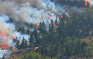 reduce landscape fire risks