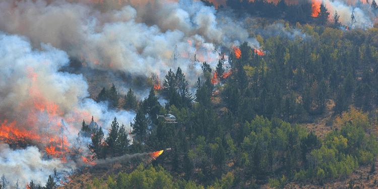 reduce landscape fire risks