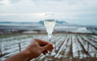 Canadian Icewine